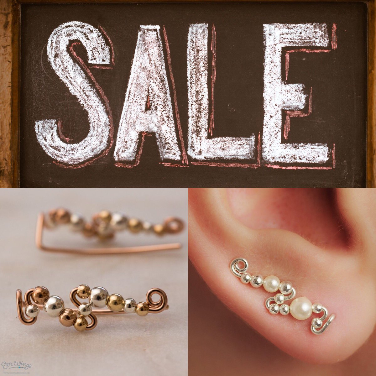 potter and mooch ear wings