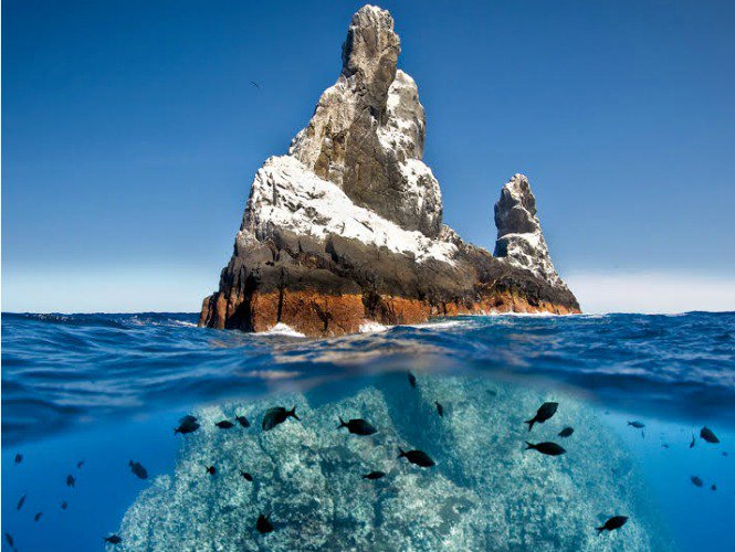 juliepackard's tweet photo. Mexico's gift to the world - a marine sanctuary for the "Galapagos of North America": https://t.co/1vPdLqj7BD @guardian @EPN @gobmex @mexico https://t.co/ZcbdvDbW37