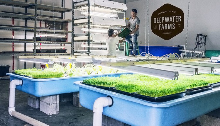 Calgary Economic Dev On Twitter Deepwaterfarms A Calgary