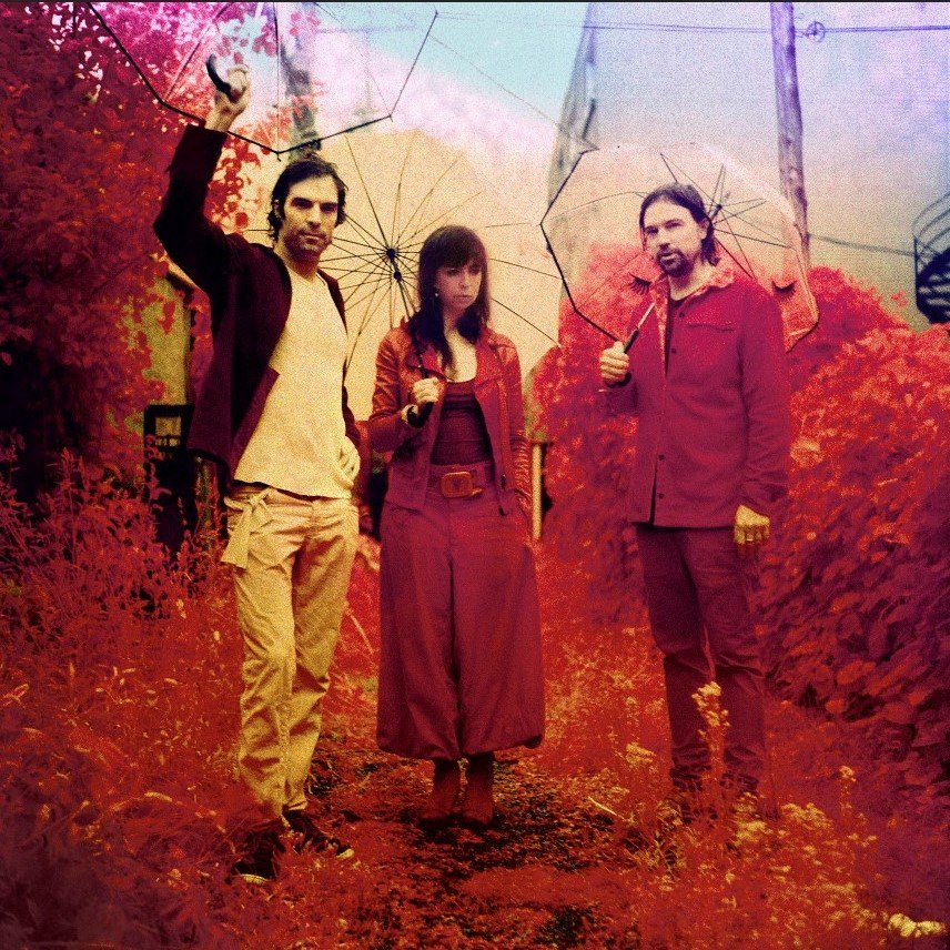 TheDanforthMH's tweet image. TONIGHT! Don&apos;t miss out - only a few tickets left - bit.ly/2AaEDpF 
•••
Also come visit us next door at Danforth Sidebar for a bite and drinks before &amp;amp; after the show. Open from 6pm &apos;til late.
•••
7:00pm doors open
7:45pm Shannon Lay
8:45pm @thebarrbrothers