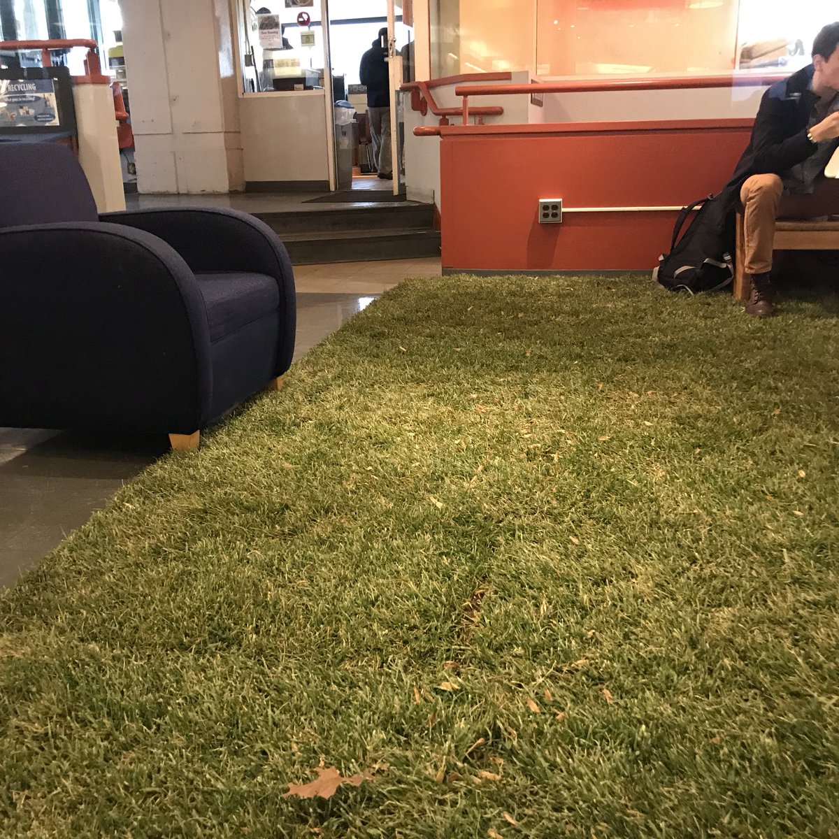 robinbc35's tweet image. Enjoying a relaxing moment at the #MITIndoorLawn in the MIT student center