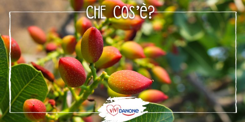 ViviDanone's tweet photo. Per scoprire la prossima #ricetta dovete prima indovinare il suo ingrediente base. Cosa sarà? #rebus #vividanone https://t.co/cMO7FOv0SG