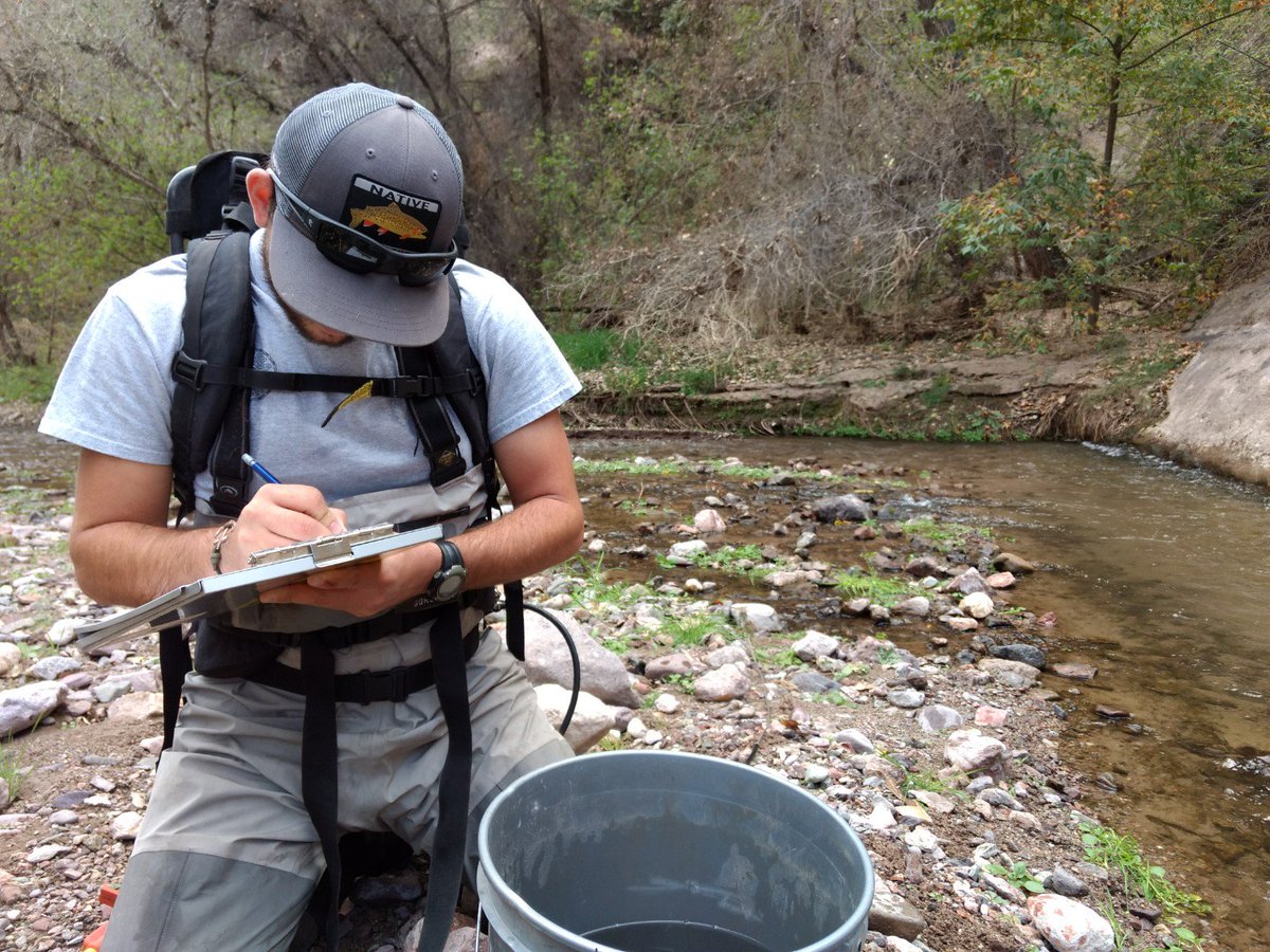 Inthecurrentaz's tweet image. Native Fish Sampling at Aravaipa Creek - inthecurrent.org/waders-in-the-…