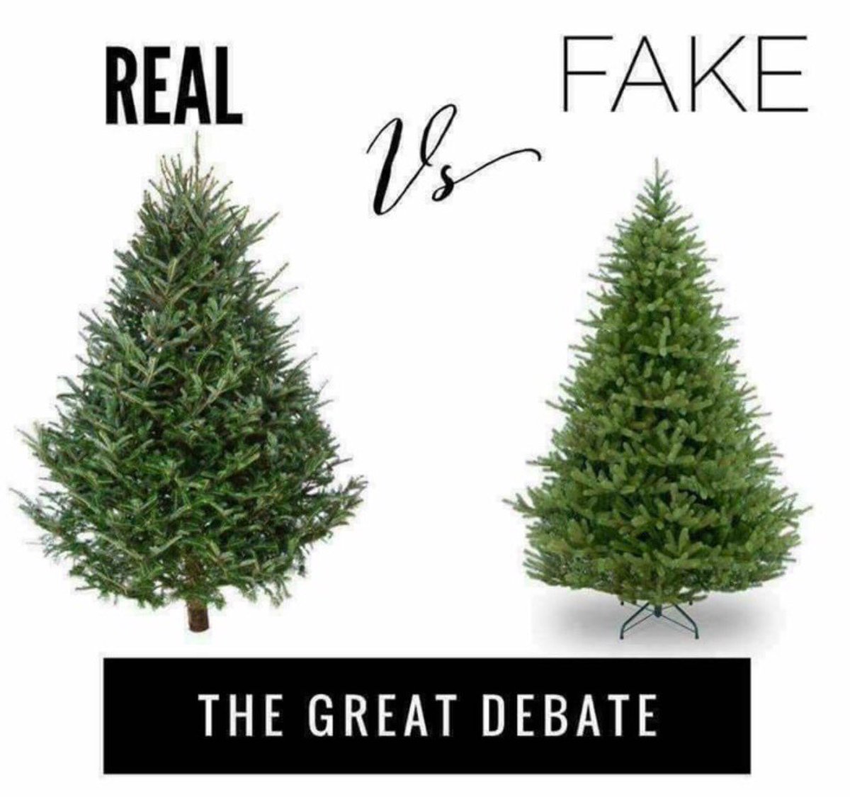 cathleenbarela's tweet photo. I'm such a perfectionist I gotta go with Fake 🙃...However; I absolutely love the smell and essence of Real. Christmas season is officially upon us! 🙌🏼🎅🏼🌲⭐️ https://t.co/zDA2opxjsK