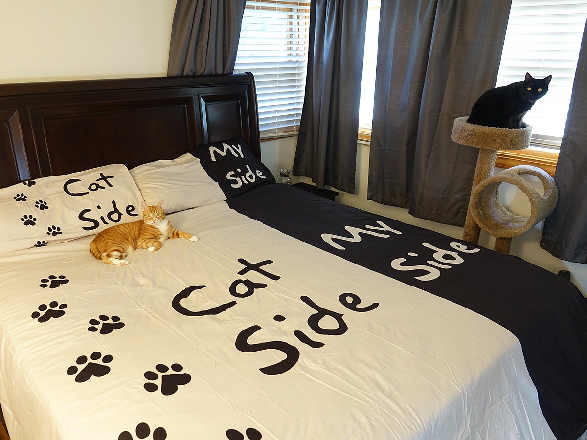 Meowning everyone... welcome to our life! :)
You can get the bed spread here: greatergood.me/2zJ6JZP
#LifeWithCats #CyberMonday #CatsOfTwitter