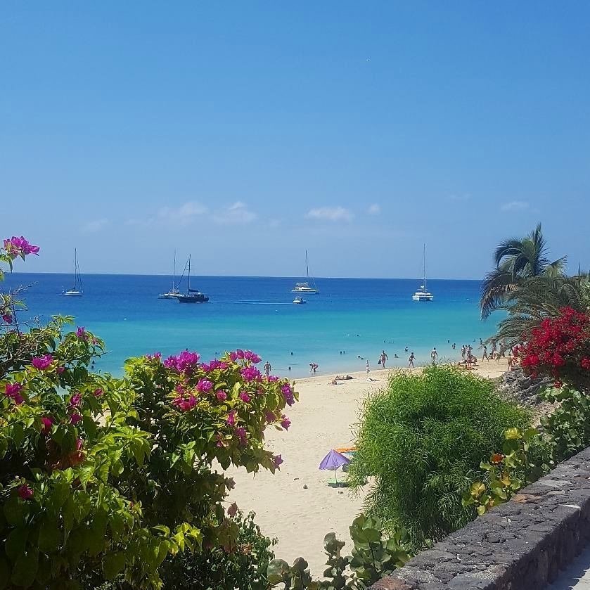 canaryboattrips's tweet photo. Happy Mondays! โข ยกFeliz Lunes! @ https://t.co/rBhbb4TiEvย โต๐ #MagicDeluxe #ParadiseSailing #MagicSelect #SupercatCatamaran #AphroditeSailing #CanaryBoatTrips
#GranCanaria #Fuerteventura https://t.co/rMihYzCsZi