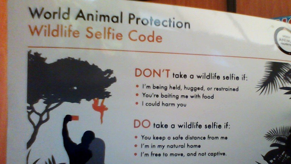 AfricaToursAdve's tweet photo. From #Amazon to #EastAfricaUganda The #wildlifeselfiecode is the theme for #wildlife #lovers & #photographers . you should learn more https://t.co/RLjDuoVksu @MoveTheWorldAF https://t.co/jadrQ0Lrso