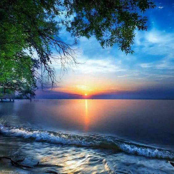 SteamCleanFl's tweet photo. Good morning #realtors #Sanford #Deland #HelloLakeMary https://t.co/qBJipGuWjy