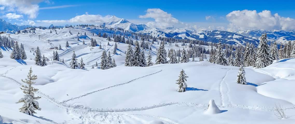 Luca_illy's tweet photo. Distesa e #Monti pieni di #Neve https://t.co/AXb5SLuqdm