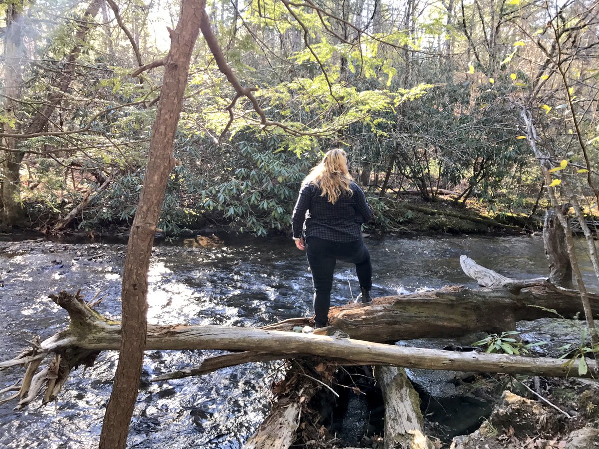 savteachesdrama's tweet photo. Hope everyone had a wonderful & happy Thanksgiving break! Spending a week in the mountains with family was wonderful -- but now it's time to get back to work! @kgwhetsell #AlmostTechWeek #2WeeksTilShowtime ππ¦π https://t.co/eVVE07hzj3