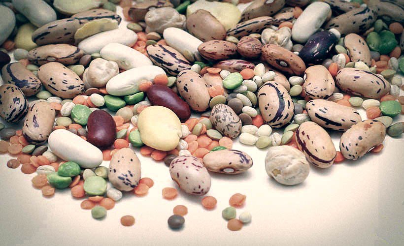 behappyveggie's tweet photo. Ferro e alimentazione Vegan https://t.co/RI4Qbw5AHC https://t.co/vsBEB2L8QP