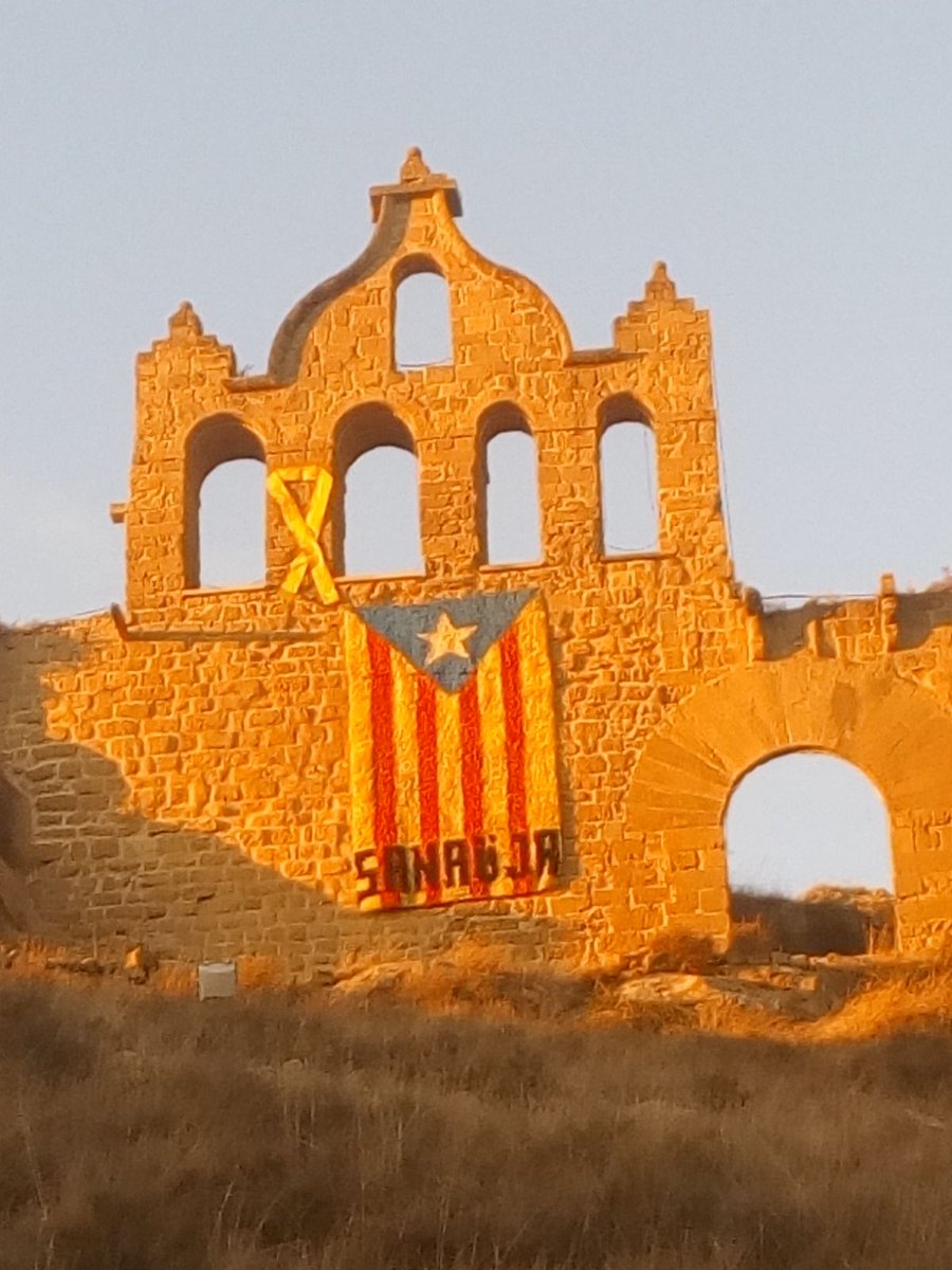 antoni mosella tweet media