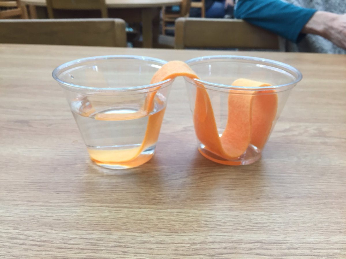 FrancisSharks's tweet photo. Teachers always learning... #PDday @ShakeragElem @shakeragkiwi https://t.co/gPMiMuecJE