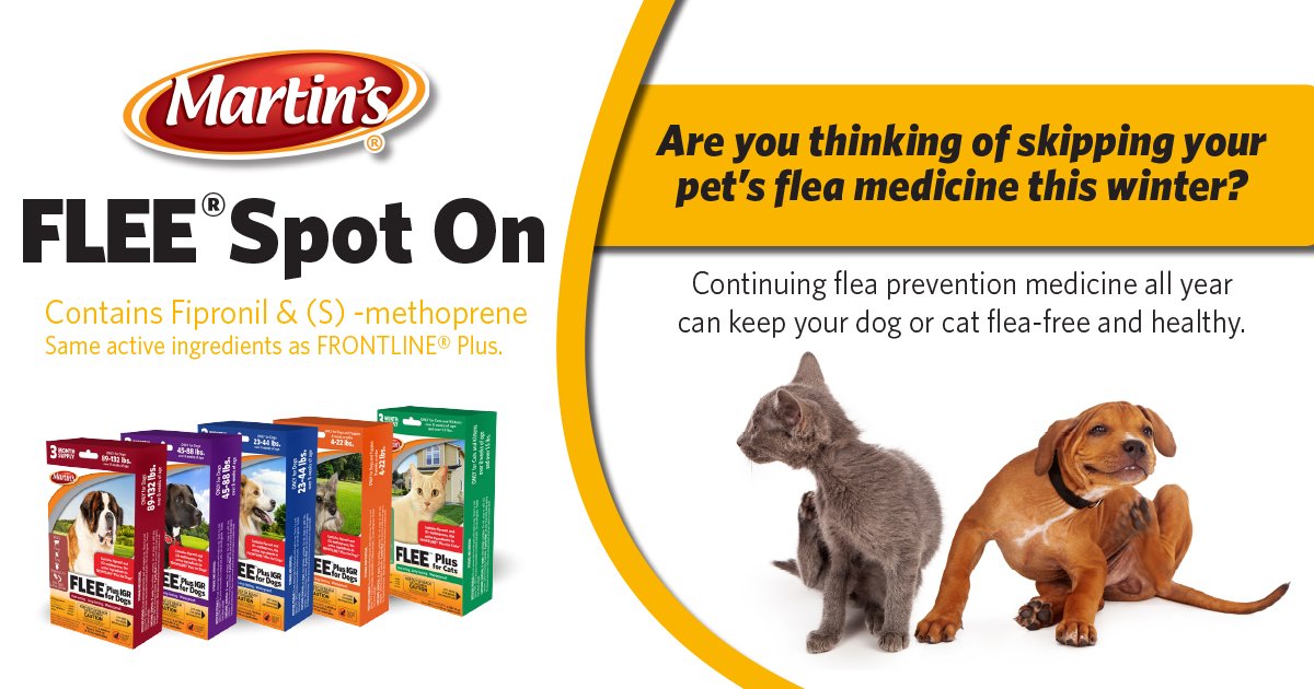 MartinsBrand's tweet photo. #fleaprotection #martinsbrand #petprotection #flea #cats #dogs
https://t.co/XvHfyggrMG https://t.co/TO80mmmP7d