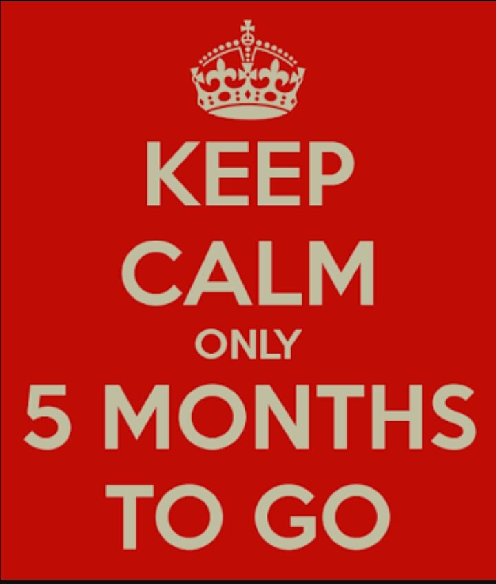 iMAHIRTIGERIAN's tweet photo. 😍😍😍👍👍 yayyy can't waitttt #5MonthsToBAAGHI2 #Baaghi2 @iTIGERSHROFF @TeamTIGERSHROFF @DishPatani @NGEMovies @foxstarhindi https://t.co/5vg7q5QcZj