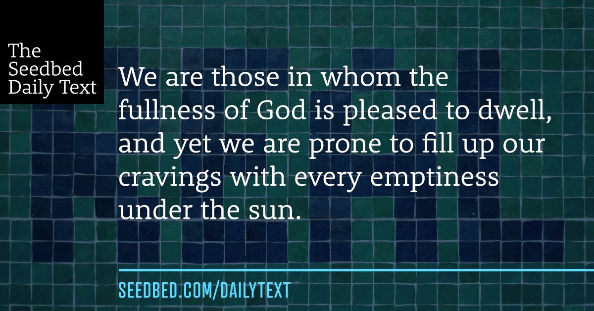 OfficialSeedbed's tweet photo. We are those in whom the fullness of God is pleased to dwell, and yet we are prone to fill up our cravings with every emptiness under the sun. https://t.co/OhUfcfQMlj #SeedbedDailyText https://t.co/xIpUge0A3C