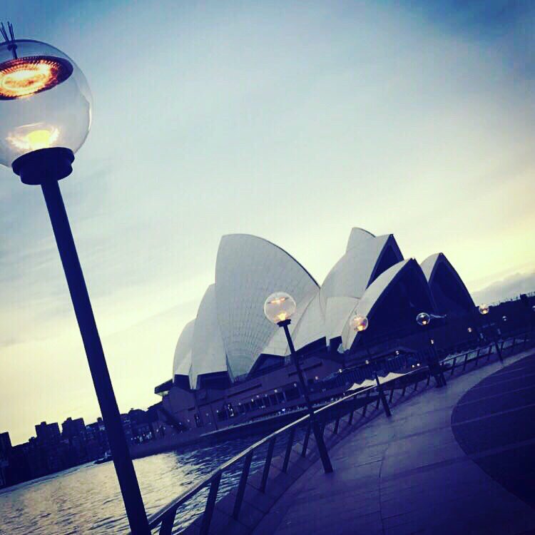 janeybyers's tweet photo. Breakfast in Sydney Opera House before flying home ✈️ #sydneyoperahouse #Sydneyharbour #lovesydney #operakitchen #Travel #homewardbound https://t.co/tlr0M7yms4