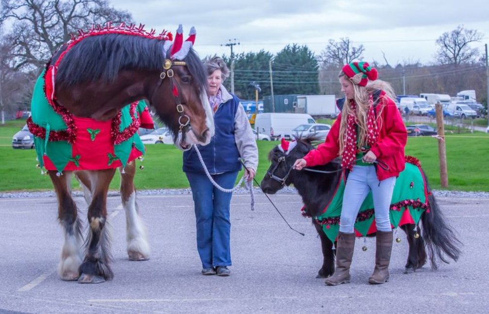 WMNHorses's tweet photo. Eleven reasons why you should visit the Westcountry Equine Fair at @WestpointExeter this weekend: https://t.co/c87YbUp99d @EquineSW @WMNDebbie #Devon #Exeter #equestrian #horses https://t.co/RNWqFUqgPb