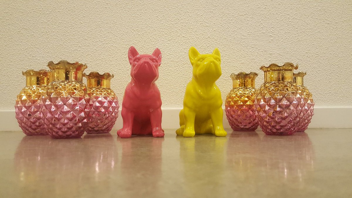 gtst fans opgelet! bied nu mee op deze unieke items van gtst, 2 leuke hondjes uit de set van 'Toko' de opbrengst gaat naar het goede doel! #gtst pietenontourveiling.nl/collectors-ite…