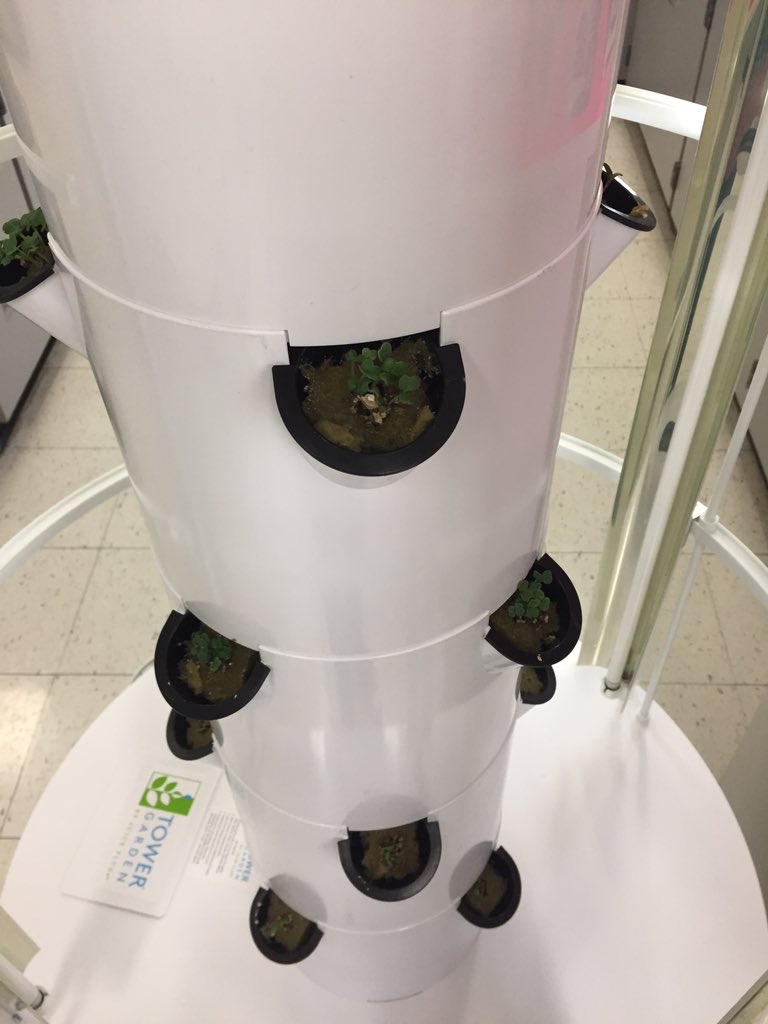 checkleyRSHS's tweet photo. Check out FACS new vertical, aeroponic growing system.  We have sprouts!!!! #towergarden #juiceplus https://t.co/b6WPzG6wen