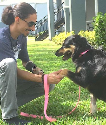 Olivia is one of the 63 strays PPR saved from the path of Hurricane Irma. Olivia is Scott’s new companion and learning to be his service dog. pprfl.org #AdoptDontShop