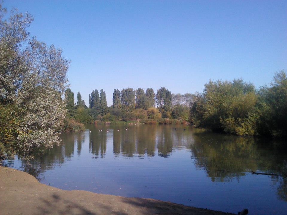TCVCroydon's tweet photo. This Wed &amp; Thurs we will be at South Norwood Country Park to cut back Willow around the lake. If you want to join us get in touch https://t.co/9xttD3DDI0 https://t.co/moUbkXpejm