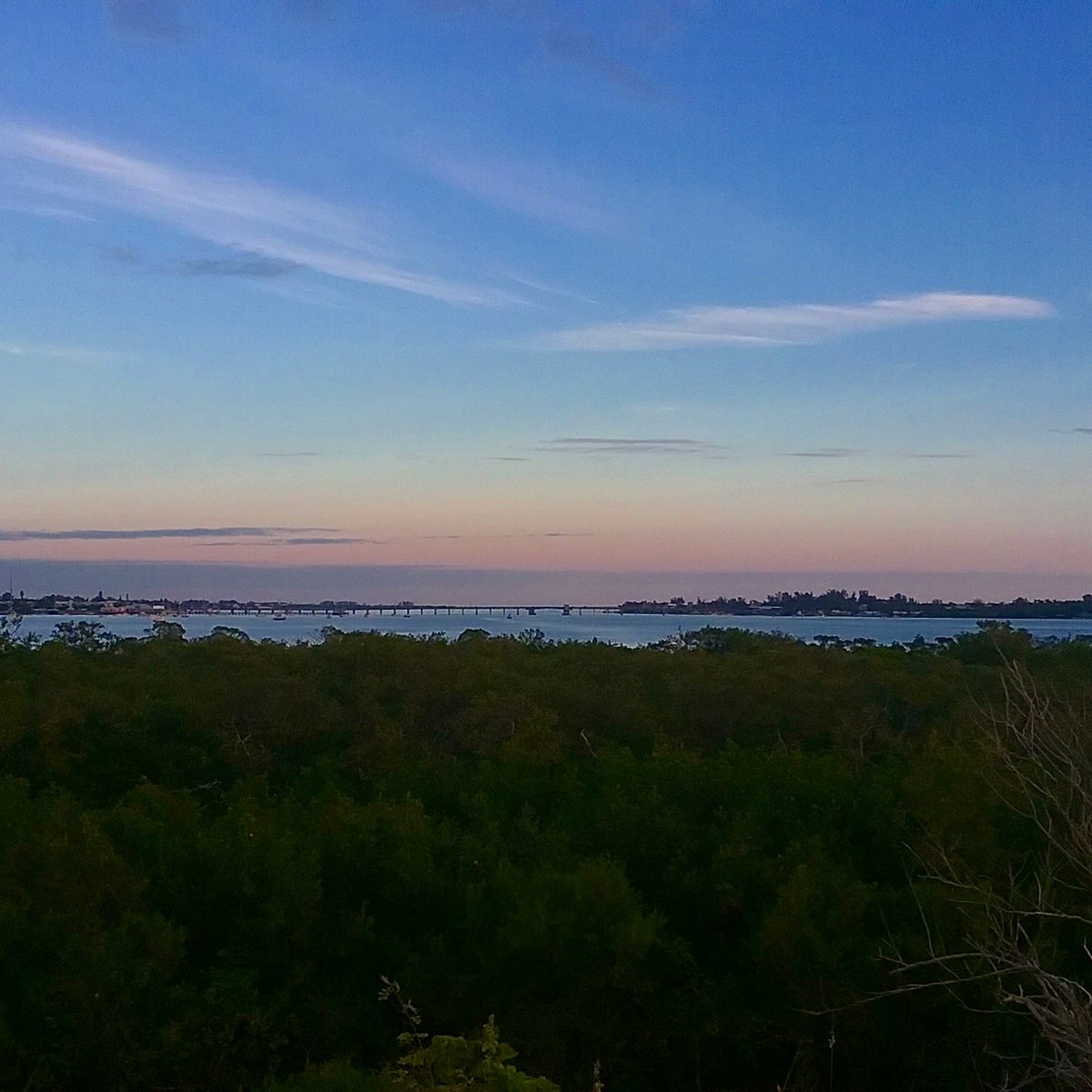 EditorAnnaMaria's tweet image. From the hilltop on Leffis Key, it's clear to see we'll have another beautiful day on Anna Maria Island. #loveannamaria #annamariaisland #goodmorning #bradentonfl