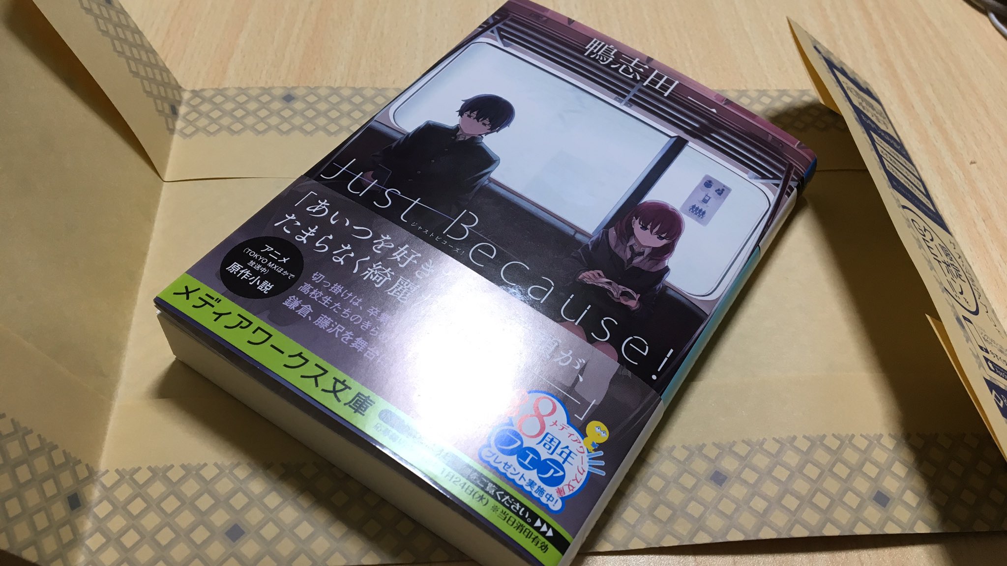 トレイヤ No Twitter Just Because の小説 さくら荘以来の鴨志田節に涙を流しながら熟読している 唯一の欠点は今現在アニメが放送中にも関わらず発売されたため 最後まで読んでしまうと盛大なネタバレを食らうことです
