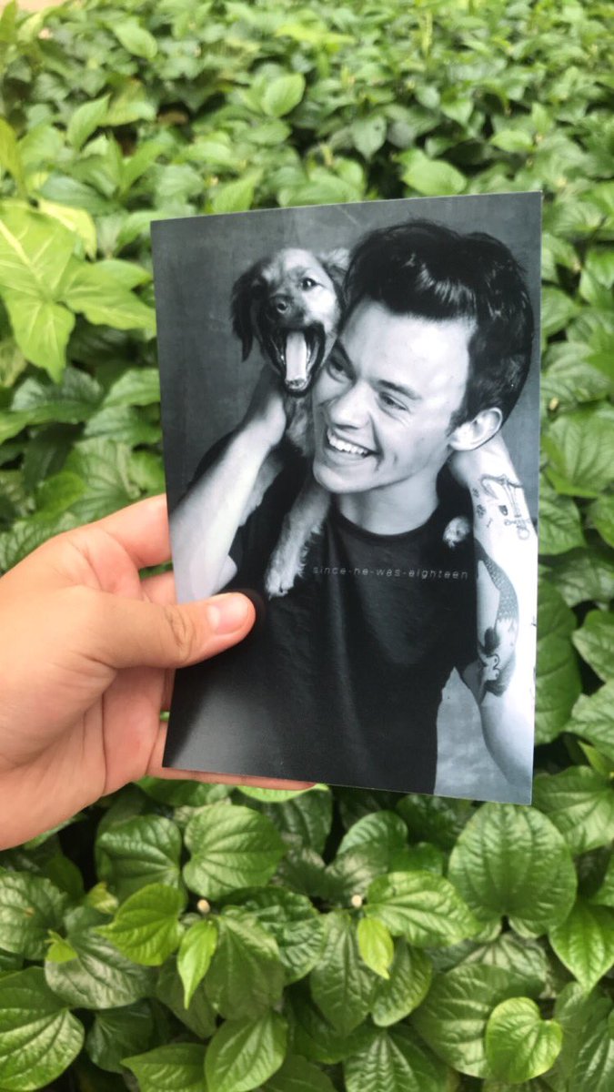 diyashri139's tweet photo. #ARIAHARRYSTYLES https://t.co/qE14GnG6JF