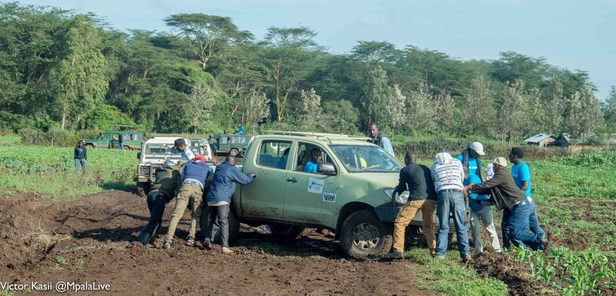 sayialel_says's tweet photo. A little (lot!) of mud didn't stop #LRVC teams from vaccinating 1,601 dogs and cats this weekend! Many thanks to @OlPejeta Conservancy for joining the cause and hosting this weekend's volunteers. It takes a team to vaccinate a county!! https://t.co/KgaG5kSrAY