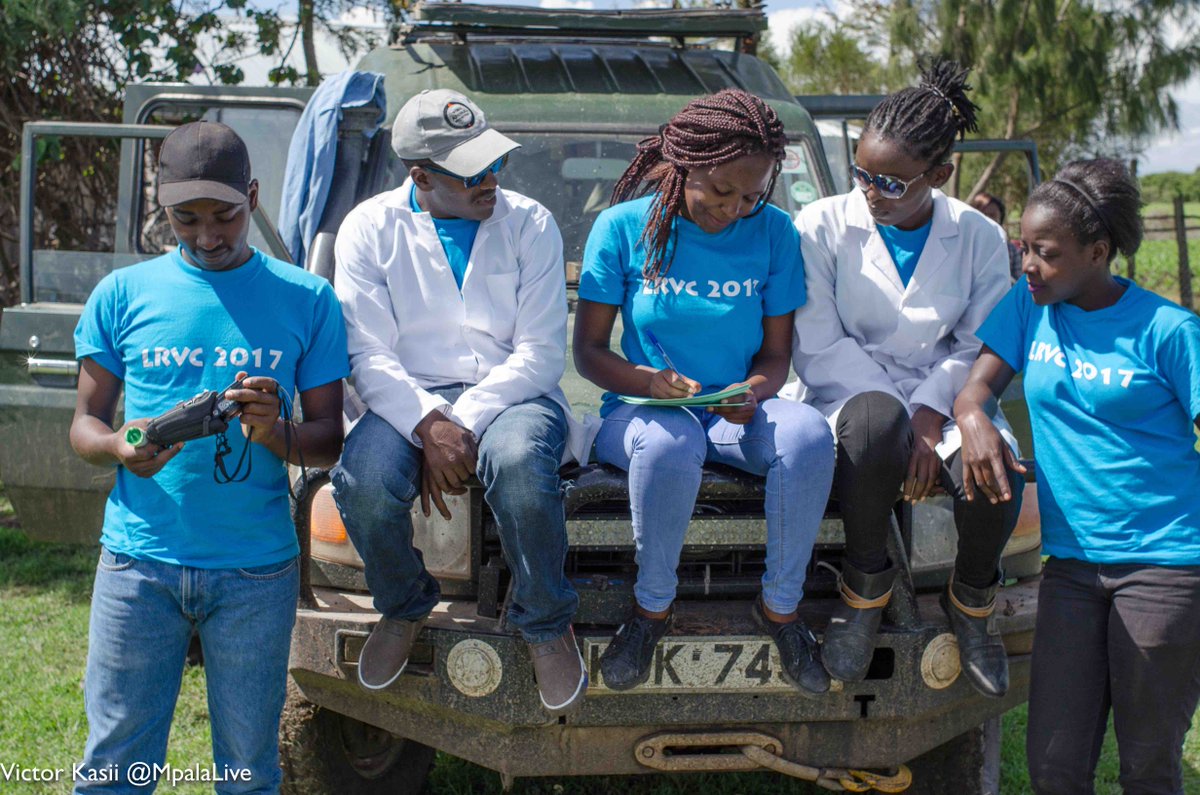 sayialel_says's tweet photo. A little (lot!) of mud didn't stop #LRVC teams from vaccinating 1,601 dogs and cats this weekend! Many thanks to @OlPejeta Conservancy for joining the cause and hosting this weekend's volunteers. It takes a team to vaccinate a county!! https://t.co/KgaG5kSrAY