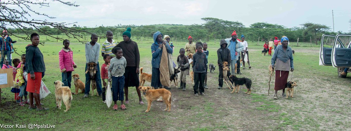 sayialel_says's tweet photo. A little (lot!) of mud didn't stop #LRVC teams from vaccinating 1,601 dogs and cats this weekend! Many thanks to @OlPejeta Conservancy for joining the cause and hosting this weekend's volunteers. It takes a team to vaccinate a county!! https://t.co/KgaG5kSrAY