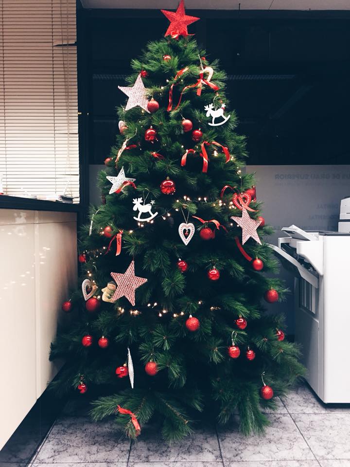 ¡La Navidad ha llegado a la Escuela Ramón y Cajal! 🎄
Escribe tu deseo en nuestras cintas y cuélgalo.