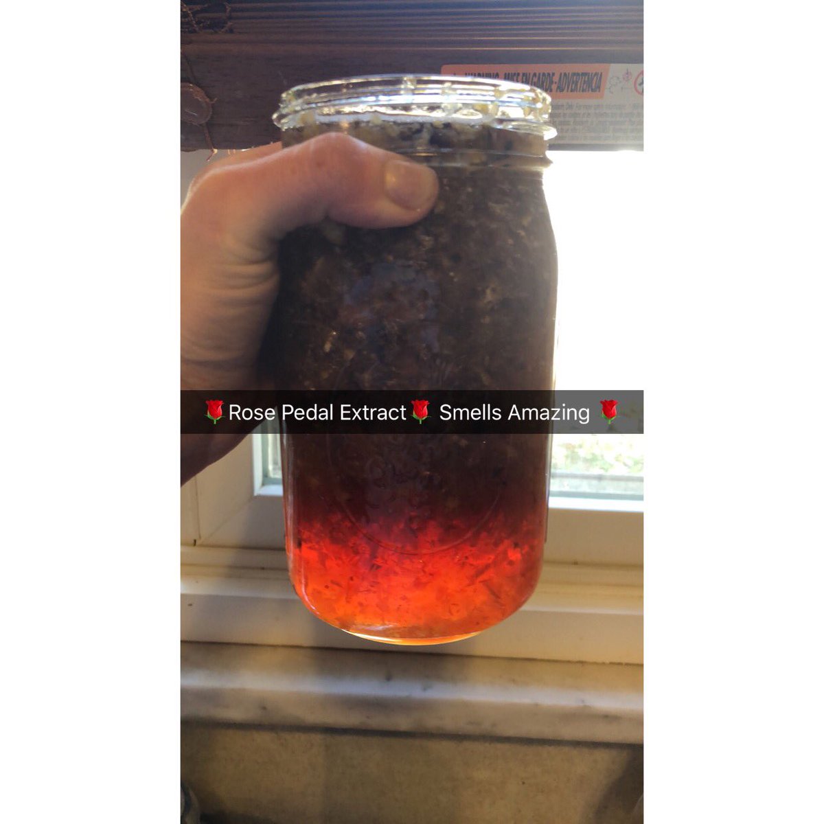 erbaceoamanda's tweet image. Isn’t this color fabulous!! It’s almost ready to be used in #formulations #formulationexpert #herbalism #herbalmedicine #plantbasedskincare #igrow #iformulate #smallbatches #organic #organicskincare #ilovemyjob #clinicalherbalist