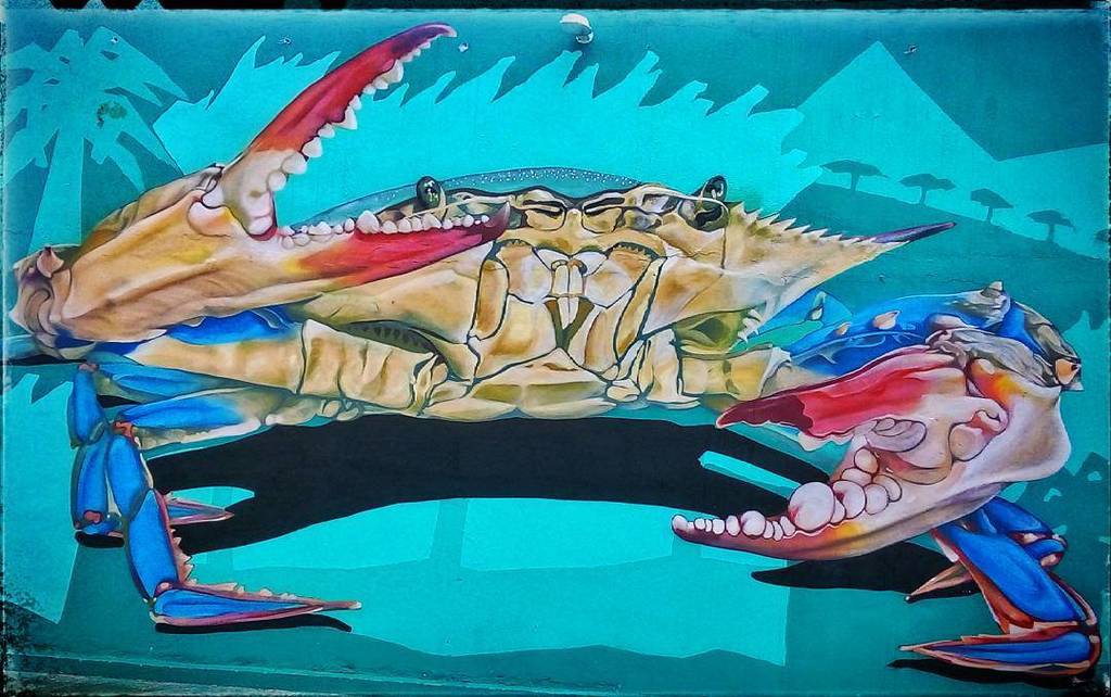 sesmarramo's tweet photo. #crab #underwater #water #sea #fish #ocean #illustration #marine #color #dug-outpool #desktop #animal #noperson #art #summer #floating #leisure #aquatic #sketch #snapseedshots #snapseed #camerafv5 #camerafv5pro #urbanart https://t.co/7ksPmsiFYu https://t.co/5QSTTHvt3B
