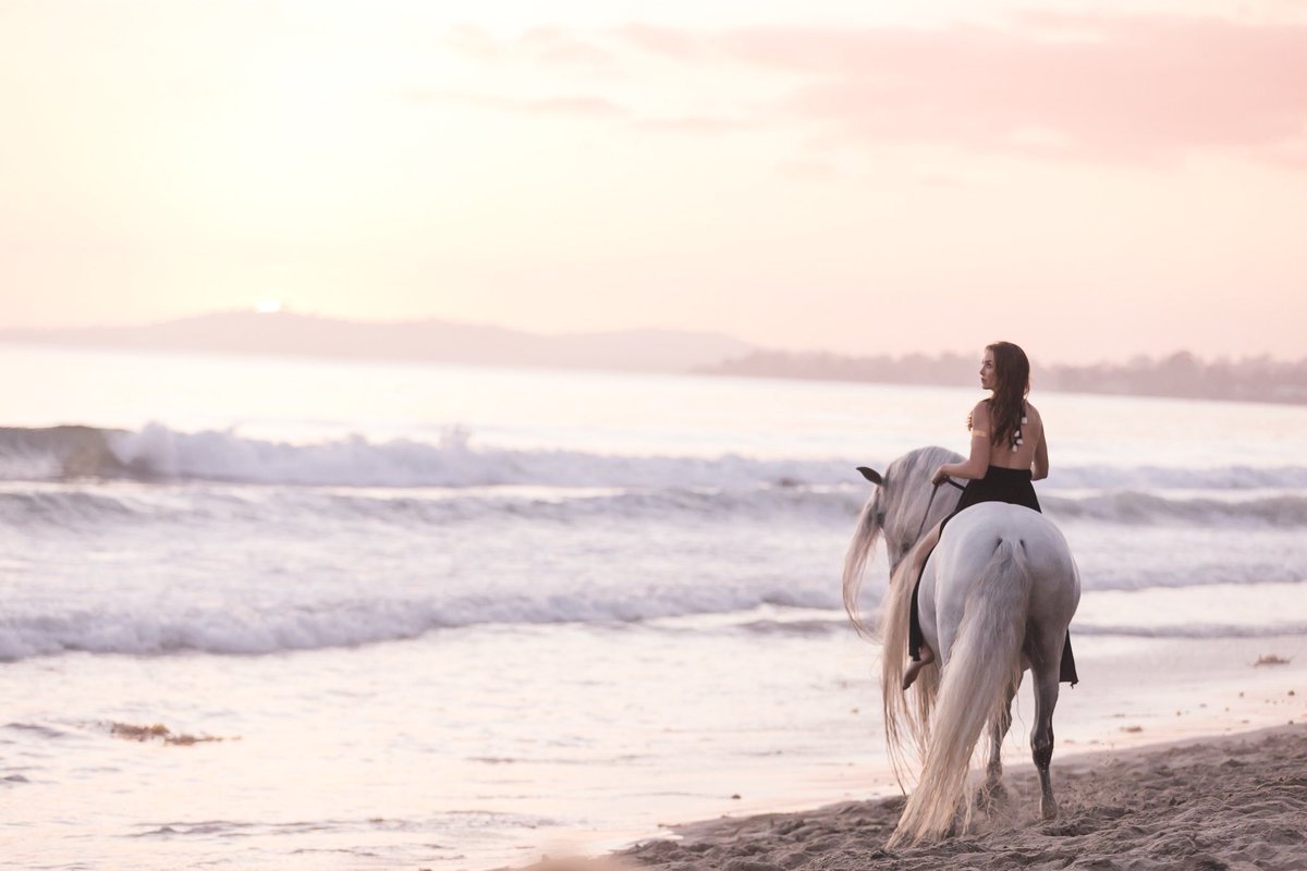 EchoesofWild's tweet photo. Dreaming or awake in Santa Barbara? #elizabethhayphotography https://t.co/mxoih6KMt3