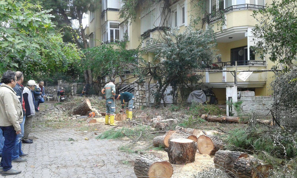 marmarisbeltr's tweet photo. Devrilen Ağaca Anında Müdahale
https://t.co/6YtzwFZnYH
@marmarisbeltr #ParkveBahçeler #ekipleri #fırtına #devrilen #çamağacı #budama #tehlikeli #uyarı #önlem #marmaris #muğla #marmarisbelediyesi https://t.co/tNPbt0Wbbj