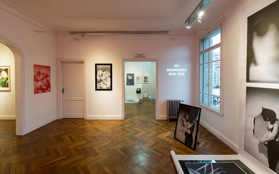 Lucia von Sprecher tweet media