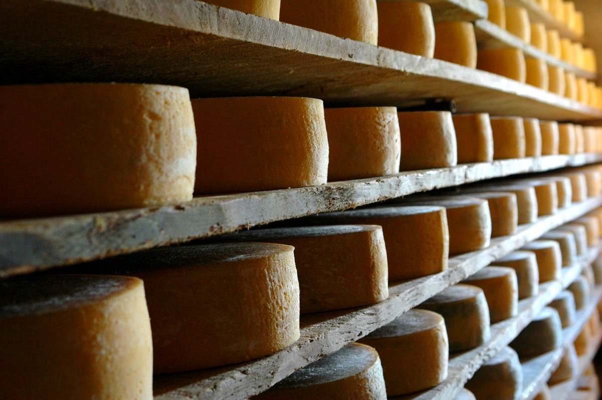 tulisso's tweet photo. #food Venti #malghe da latte di tutto il #Friuli il 2 dicembre porteranno i migliori prodotti a #Sutrio con #Formandi la prima asta dei #formaggi di montagna. https://t.co/gbxEtlvvNl