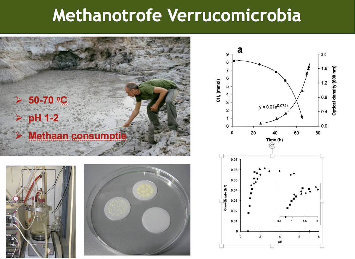 msmjetten's tweet photo. Teaching methanotrophic volcano bacteria to 2nd Bsc Biology students @Radboud_Uni #lanthanides #mudpots #thermophiles #rubisco #methane #hydrogen #knallgas #nitrosative #microbiology
https://t.co/prwUsnrtOv
https://t.co/6WxjjO9Lak
https://t.co/LFBz7U3gP4
https://t.co/ojv5H0WhA2 https://t.co/jxP8P6xvBH