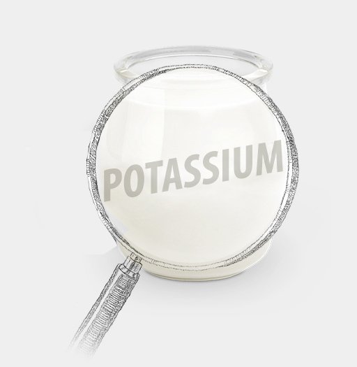 _HealthThruFood's tweet photo. Increasing potassium intake can help lessen the blood-pressure-raising effects of excess sodium. #OYED https://t.co/ViyJLwt5hr https://t.co/sELfgqoInP