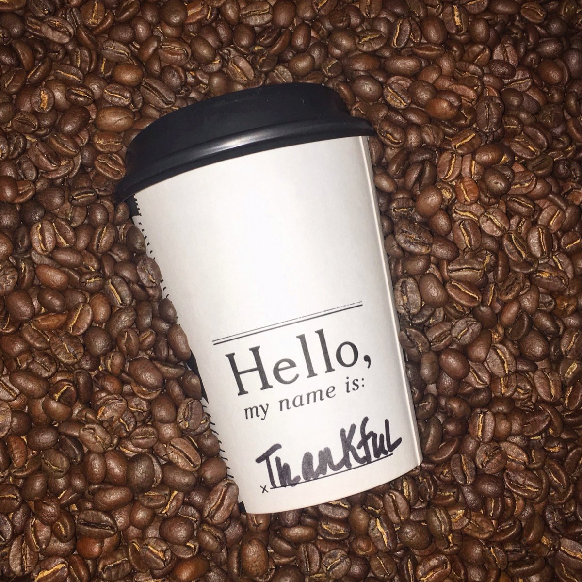birch coffee on twitter