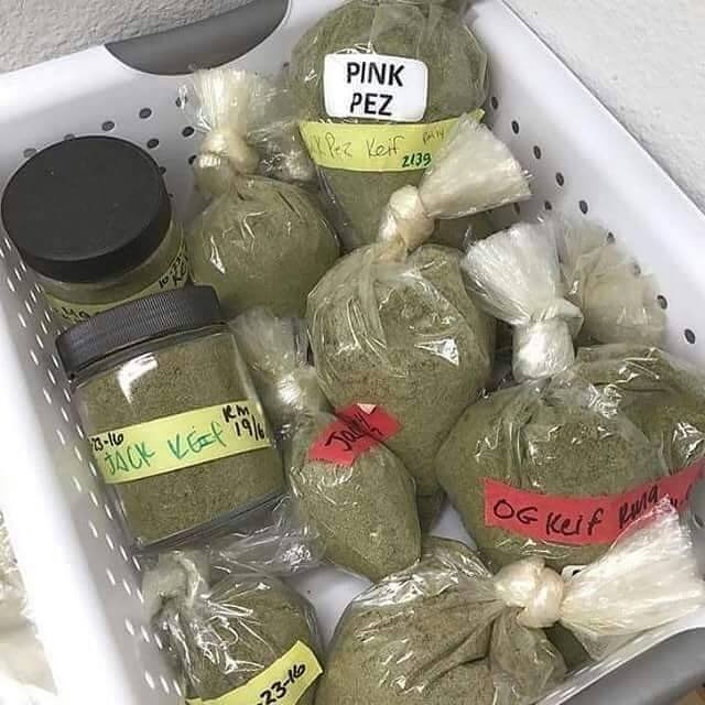youngkush4202's tweet photo. Email :lilkush421@gmail.com 
Skype:youngkush420 
Twitter : youngkush420 
Wicker :youngkush420 https://t.co/H79DVMlfZ5
