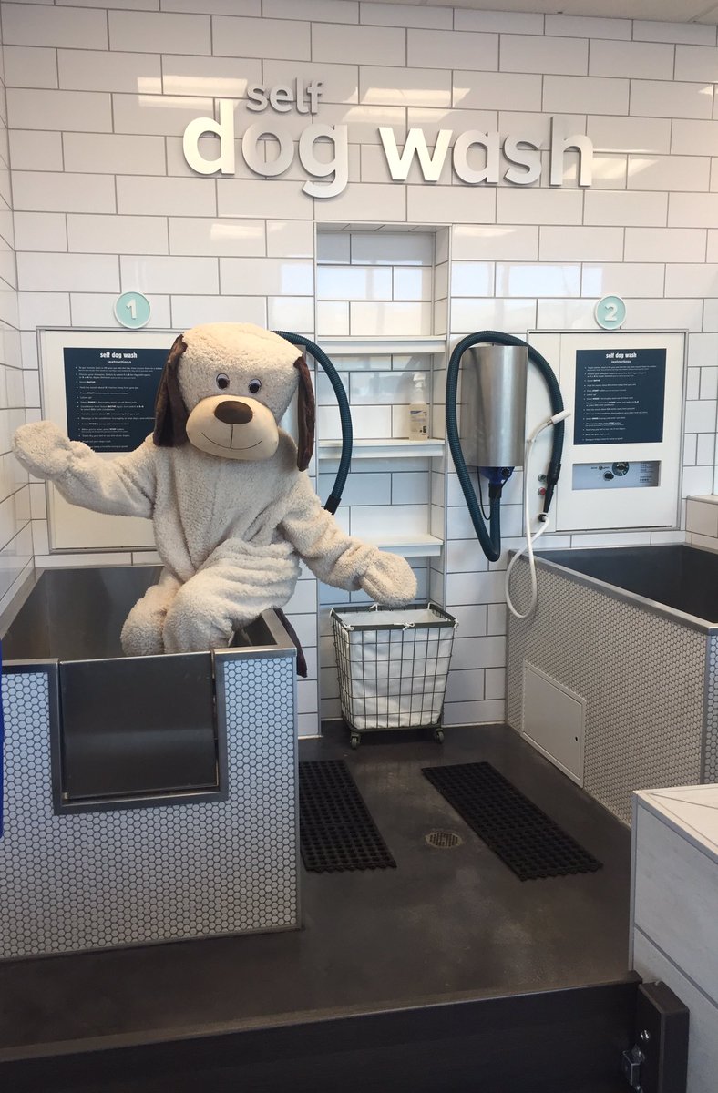 Meet Chance today and get a demonstration on our self wash. #DowntownOakPark #diy