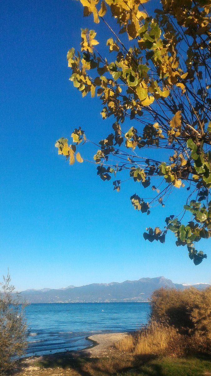 doripachera's tweet photo. Lazise sul Garda oggi.... https://t.co/fGynLsYsTg