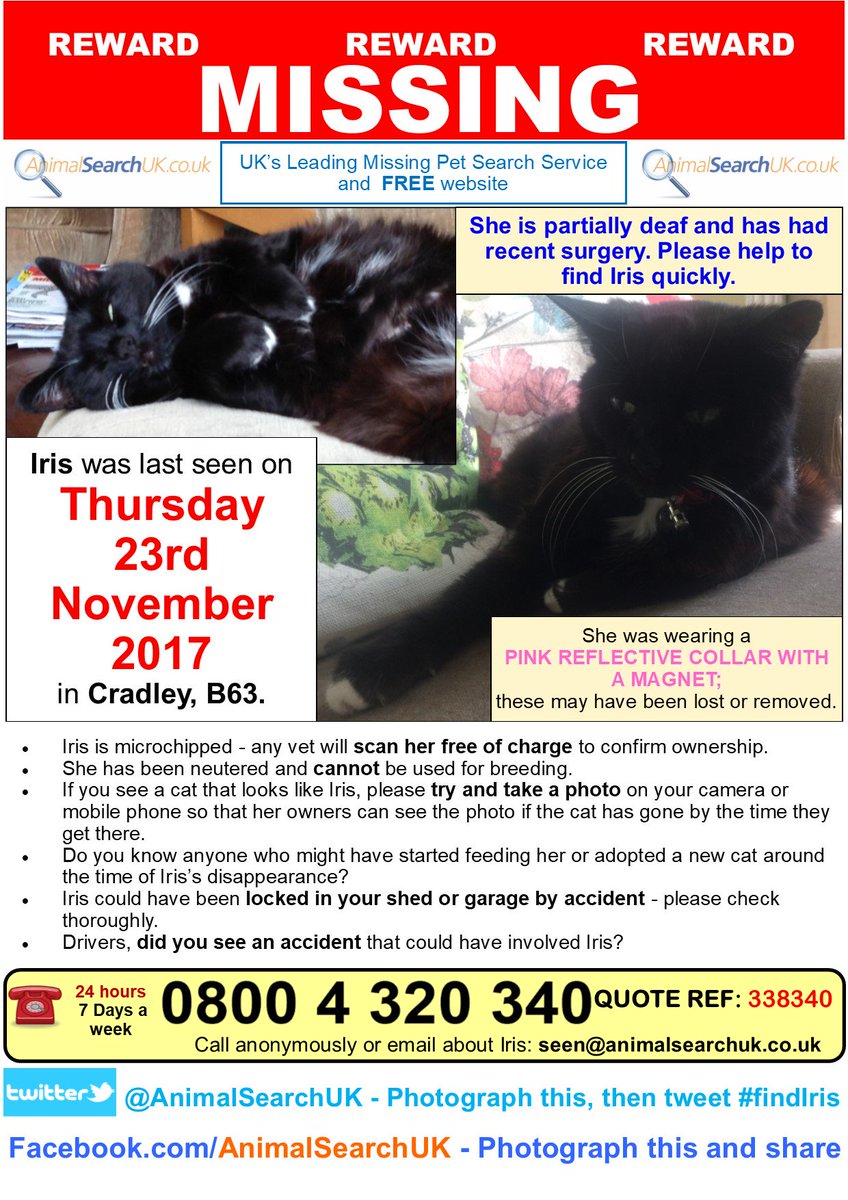 AnimalSearchUK's tweet photo. PLZ RT @halesowennews @Vets4PetsGroup #missingcat #halesowen #b63 #findiris https://t.co/TRYgLKDjse https://t.co/XKxvzIoGiG