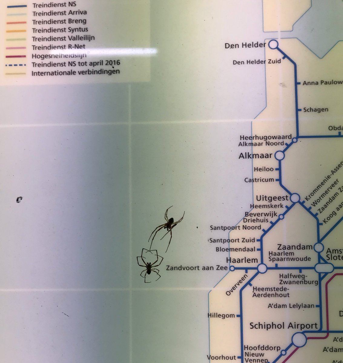 ariekoomen's tweet image. Ja leuk allemaal ...maar ondertussen vindt zich in de Noordzee een episch gevecht plaats.