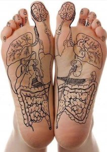 FYBLeidschendam's tweet photo. Geef je vader, moeder, oma, tante, broer een #kerstcadeau waar ze rustig van worden. No stress, relax met een heerlijke @voetreflexmassage #feetyourbodyleidschendam https://t.co/zna5CgFnRO