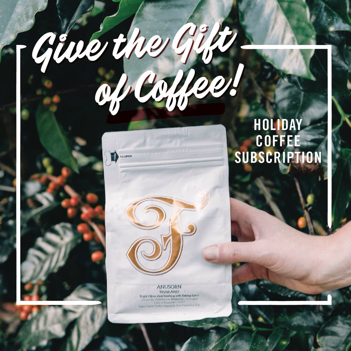 ✨CYBER MONDAY SPECIAL✨
INTRODUCING OUR HOLIDAY SUBSCRIPTIONS AT 20% OFF RETAIL PRICE VALID ALL THIS WEEK NO CODE NEEDED 
The first shipment arrives gift wrapped for your loved one in time for Christmas!
🎁 🔜 🎄
Learn more at tiny.cc/givesaintfrank
#cybermonday #easychristmas