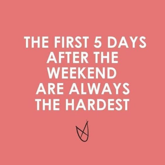 Ineedanewdeck's tweet photo. We hope today is a easy day for everyone! Coming back after a Holiday is always hard. #HangInThere #MondayMotivation #PositiveVibes #HolidayHangover https://t.co/xDCcUlMtTq